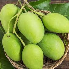 Black Chaunsa Mango – 5 to 10KG Box | Late-Season, Sweet & Fiberless Mango from Pakistan