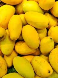 Dussehri Mango – 5 to 10KG Box | Aromatic, Sweet & Fiberless Mangoes from Pakistan
