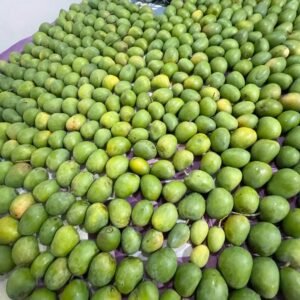 Desi Mango – 5KG Box – Naturally Sweet Local Mangoes