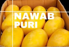 Nawab Puri – White Chaunsa Mango (5 to 10KG Box) | Premium White Flesh Mango from Pakistan